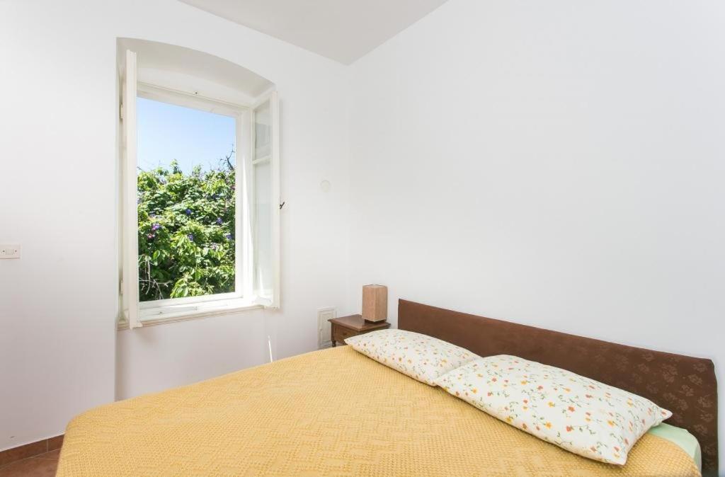Apartment Tranquilo Dubrownik Zewnętrze zdjęcie
