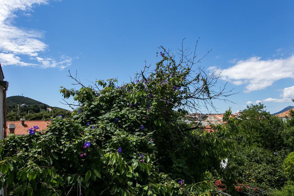 Apartment Tranquilo Dubrownik Zewnętrze zdjęcie